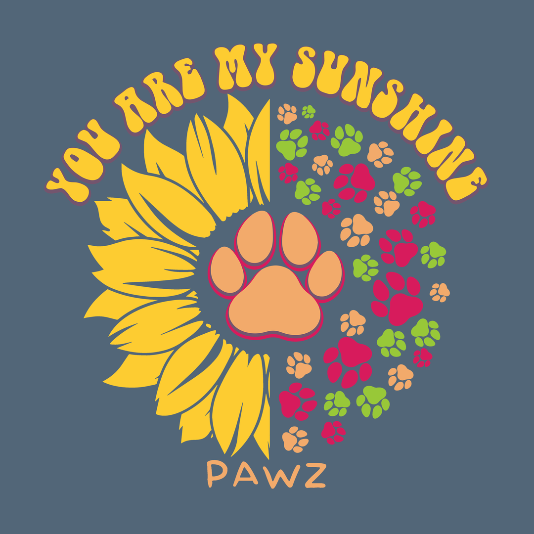 You are my Sunshine (Adult Long Sleeve)